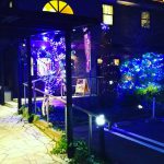 今年もイルミネーションでお店を飾りつけしています。