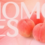 6月からの新メニュー『MOMO Fes』